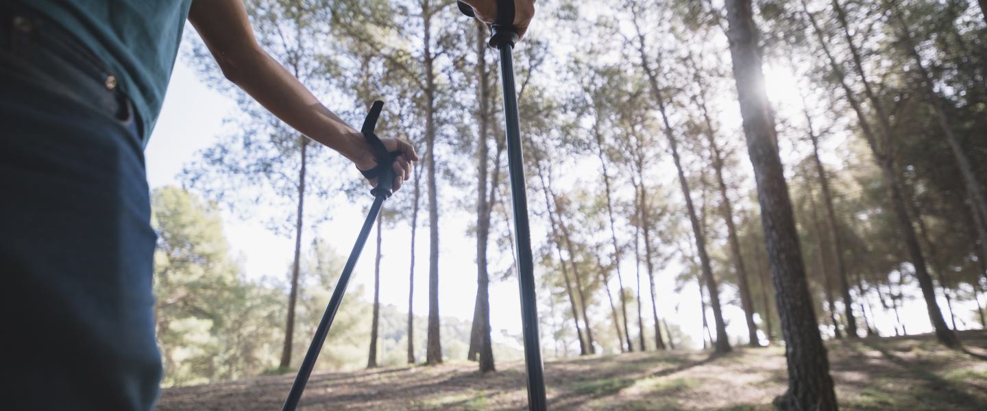 Nordic Walking